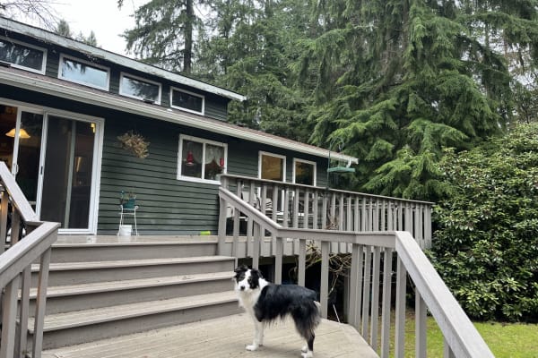 House sit in Woodinville, WA, US