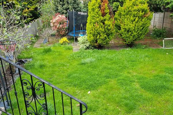 House sit in London, United Kingdom