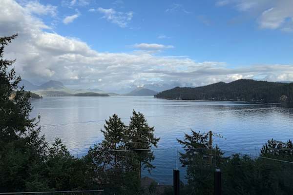 House sit in Vancouver, BC, Canada