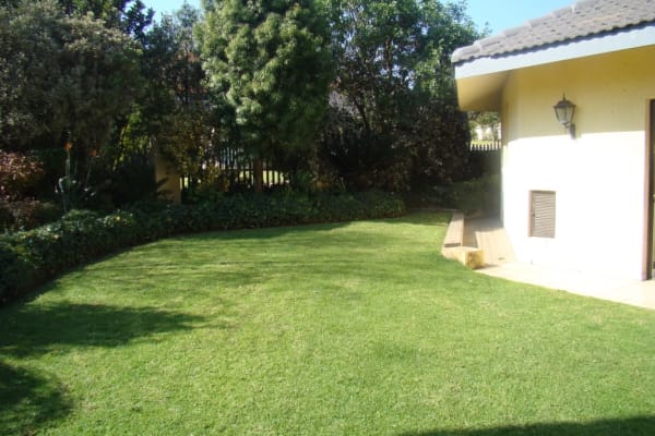 House sit in Fourways, South Africa