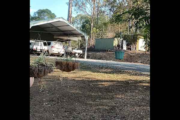 House sit in Narangba, QLD, Australia