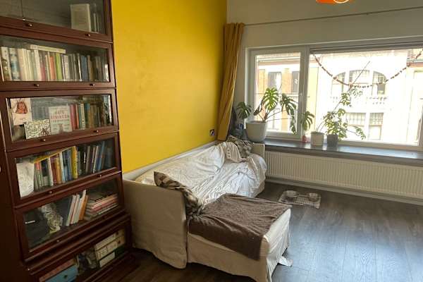 House sit in Gent, Belgium