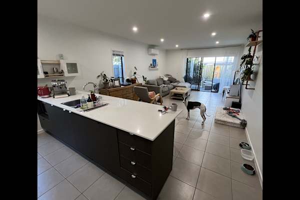 House sit in Caloundra, QLD, Australia