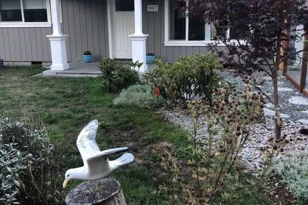 House sit in Port Townsend, WA, US