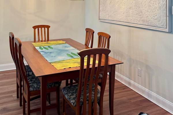 House sit in Venice, FL, US