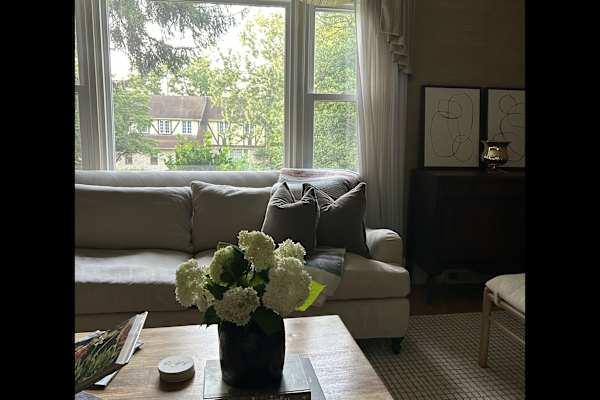 House sit in West Chester, PA, US