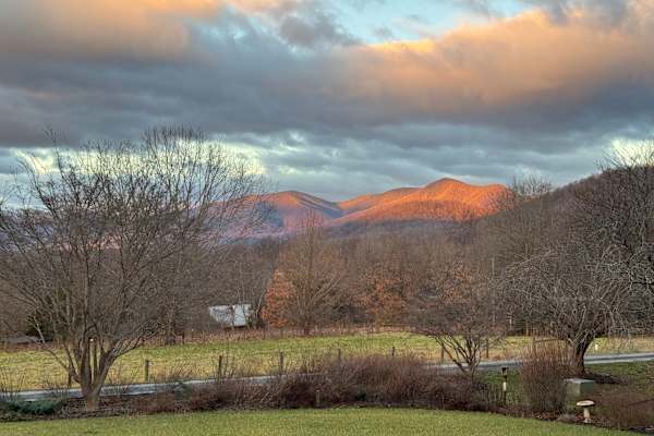 House sit in Nellysford, VA, US