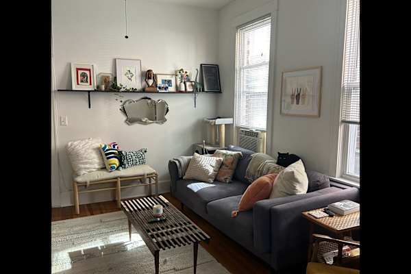 House sit in Chicago, IL, US