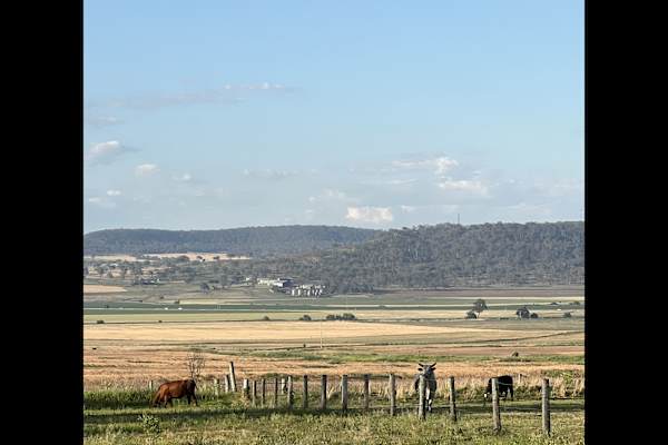 House sit in Warwick, QLD, Australia