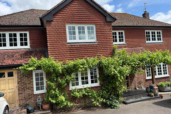 House sit in Newbury, United Kingdom