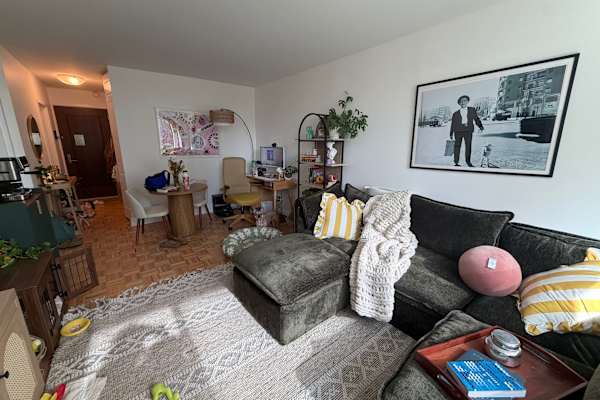 House sit in New York City, NY, US