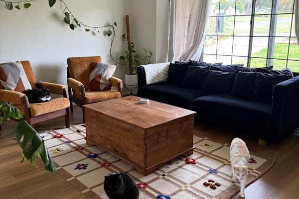 House sit in City of Cockburn, WA, Australia