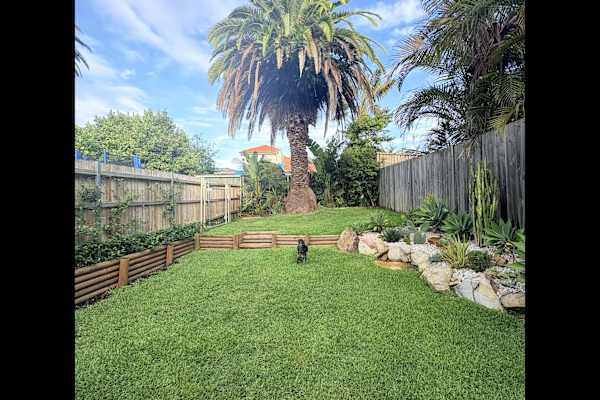 House sit in Sydney, NSW, Australia