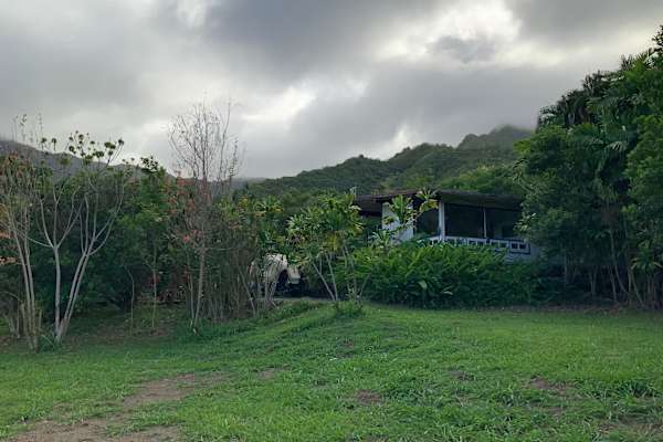 House sit in Kaneohe, HI, US