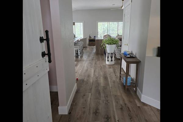 House sit in Flagler Beach, FL, US