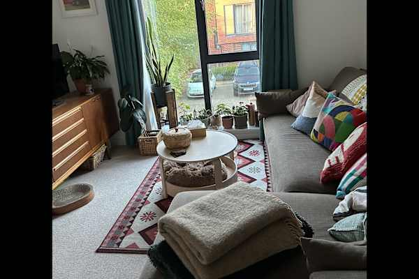 House sit in Godalming, United Kingdom