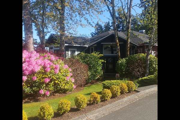 House sit in Victoria, BC, Canada