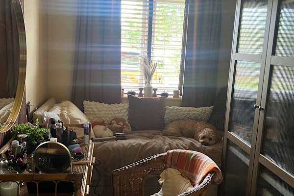House sit in Coventry, United Kingdom