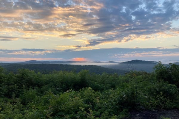 House sit in Speedwell, TN, US