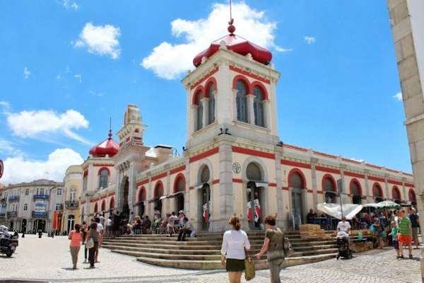 House sit in Loulé, Portugal