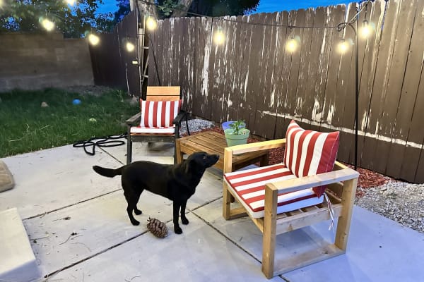 House sit in Reno, NV, US
