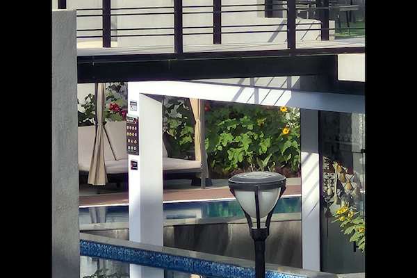 House sit in Riyadh, Saudi Arabia