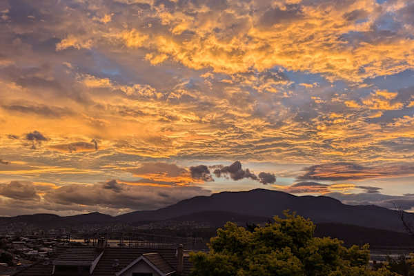 House sit in Hobart, TAS, Australia