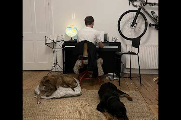 House sit in Edinburgh, United Kingdom