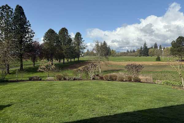 House sit in Corvallis, OR, US