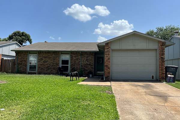 House sit in Allen, TX, US