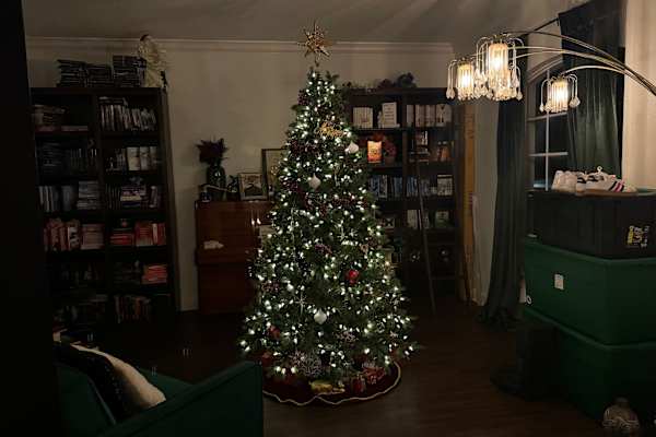 House sit in Orlando, FL, US