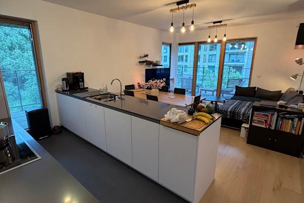 House sit in Brussels, Belgium