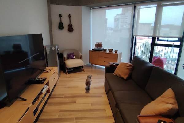 House sit in Mexico City, Mexico