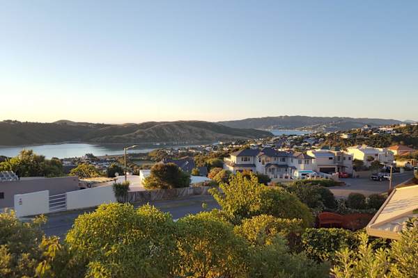 House sit in Papakowhai, New Zealand