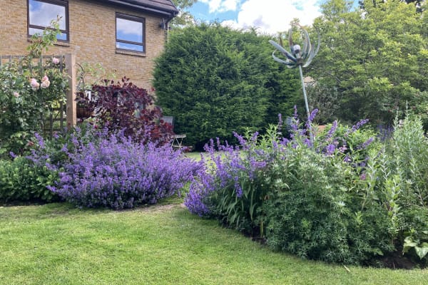 House sit in Croydon, United Kingdom
