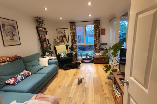 House sit in Finsbury Park, United Kingdom