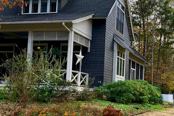 House sit in Chapel Hill, NC, US