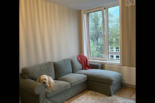 House sit in Amsterdam, Netherlands