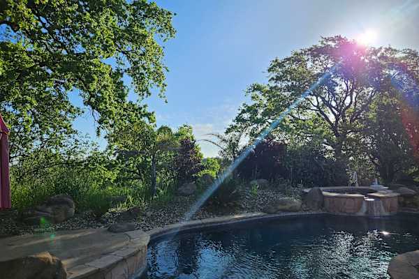 House sit in Vacaville, CA, US