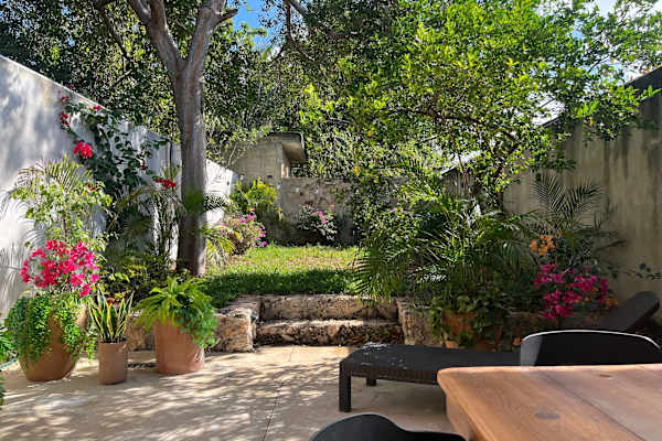 House sit in Mérida, Mexico