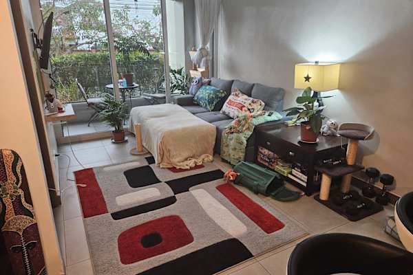 House sit in San José, Costa Rica