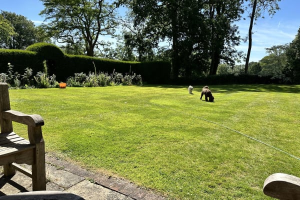 House sit in High Wycombe, United Kingdom