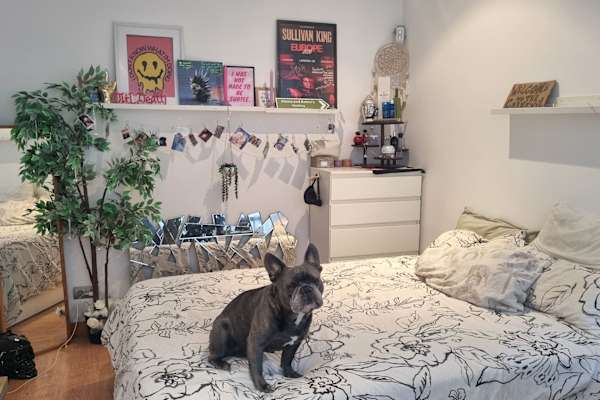 House sit in Barcelona, Spain