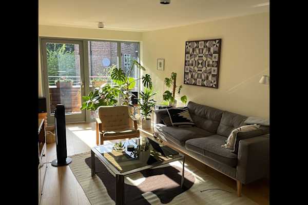 House sit in London, United Kingdom