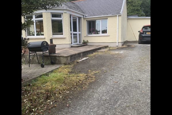 House sit in Downpatrick, United Kingdom