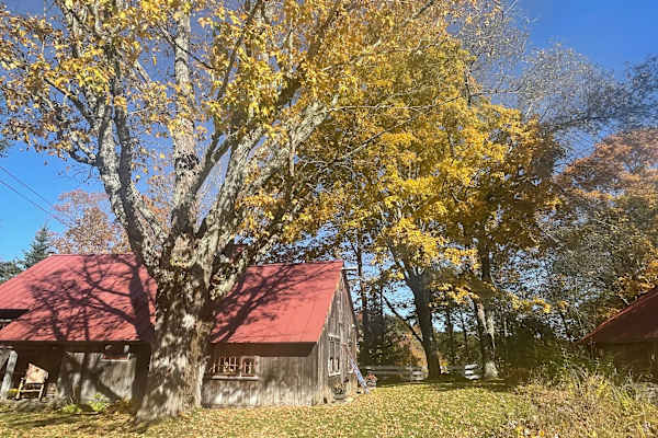 House sit in North Landgrove, VT, US
