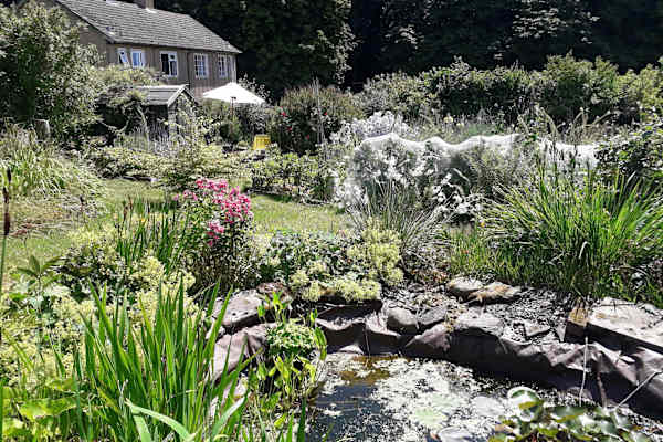 House sit in Presteigne, United Kingdom