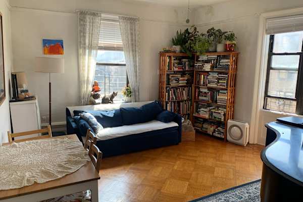 House sit in New York City, NY, US