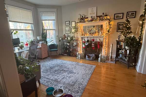 House sit in Chicago, IL, US
