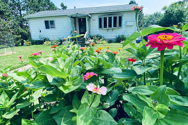 House sit in Spooner, WI, US